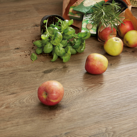 wineo Purline Bioboden wineo Bodenbelag Purline Bioboden Holzoptik mit frischen Äpfeln