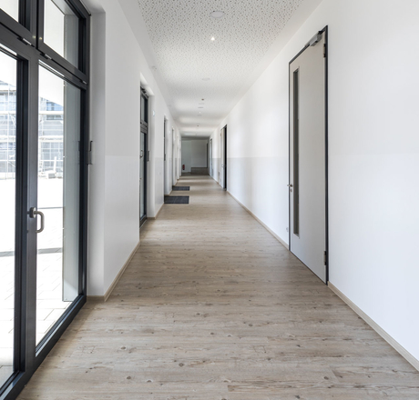 wineo PURLINE Bioboden Schule Flur hell Holzoptik