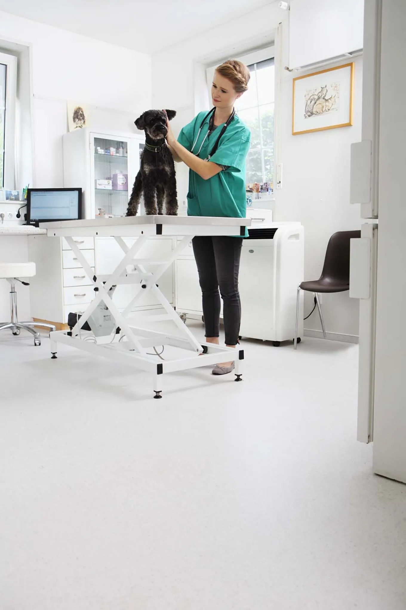 wineo PURLINE Bioboden in Tierklinik Lüdinghausen mit Behandlungstische, Tierärztin und einem schwarzen Hund