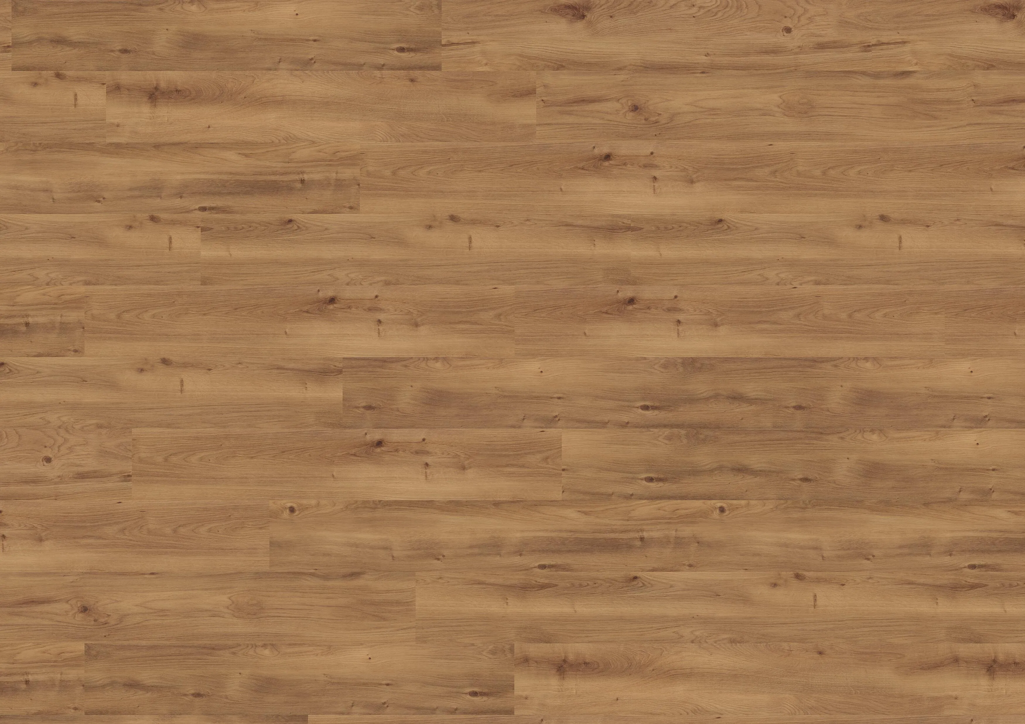 Intensive Oak Brown