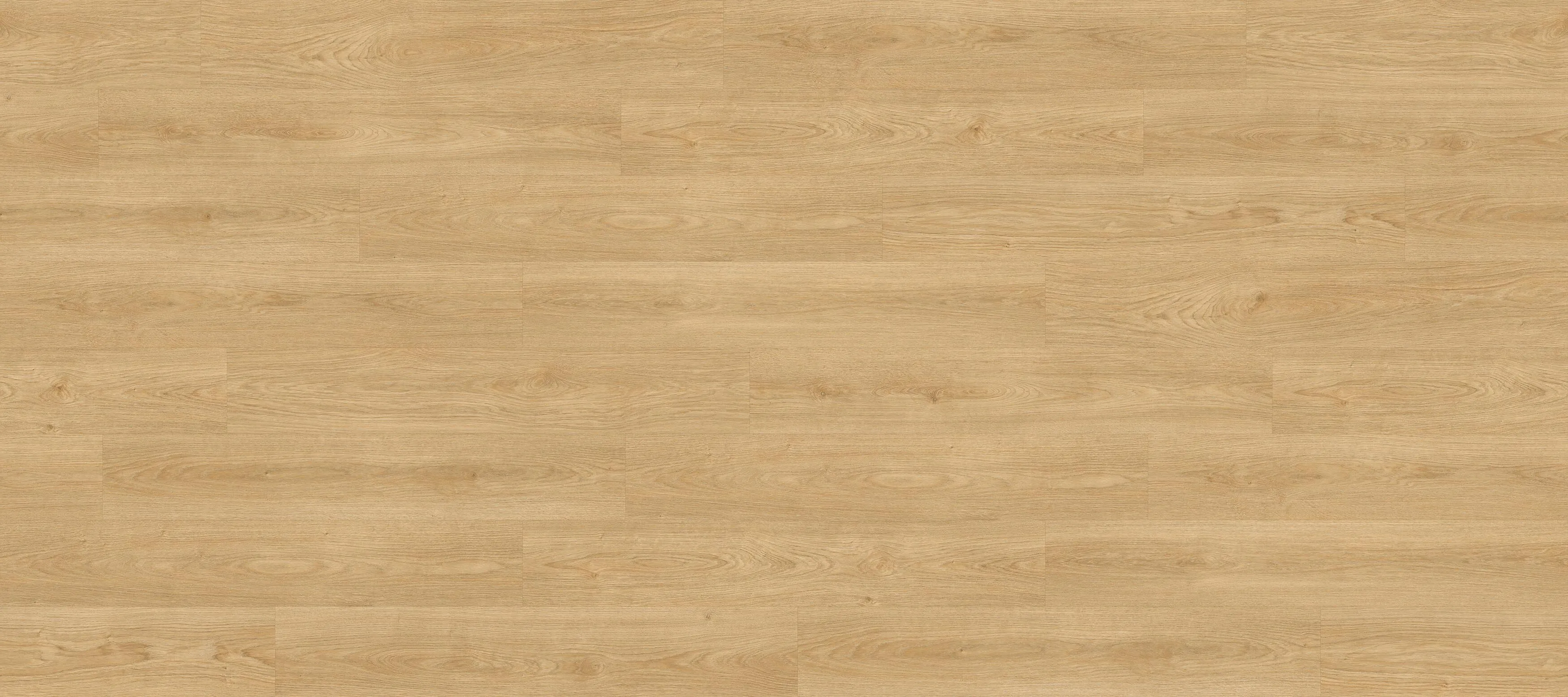 Siena Oak Honey
