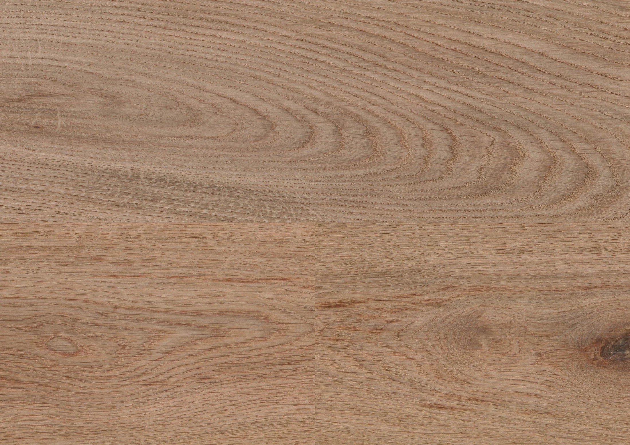 wineo 1000 PURLINE Bioboden Holzoptik Eiche MLP301R Strong Oak Cinnamon Detailbild Mikrofase
