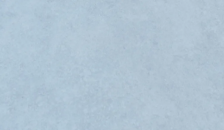 wineo Purline Bioboden Rollenware hell Dekor