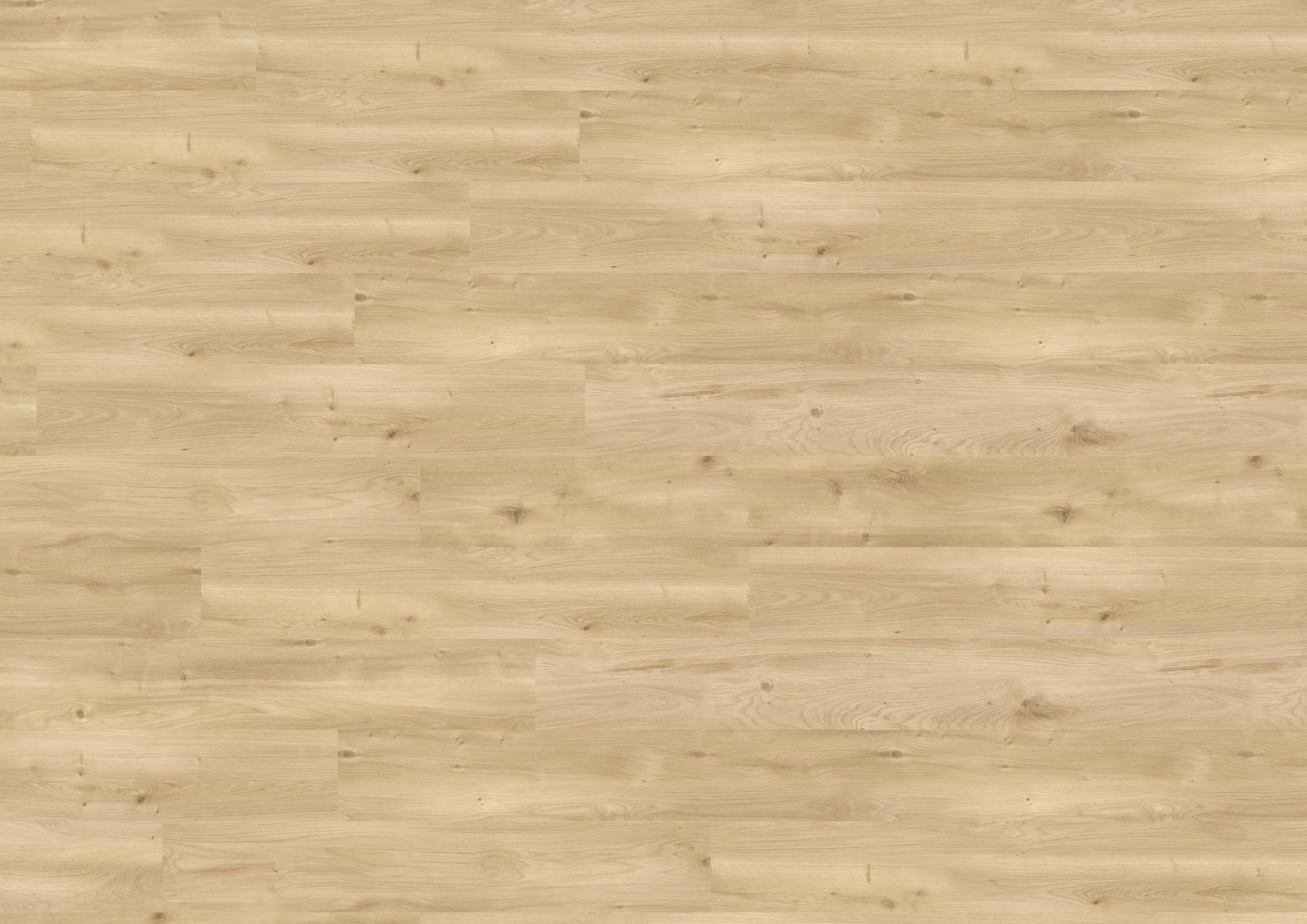 Intensive Oak Nature