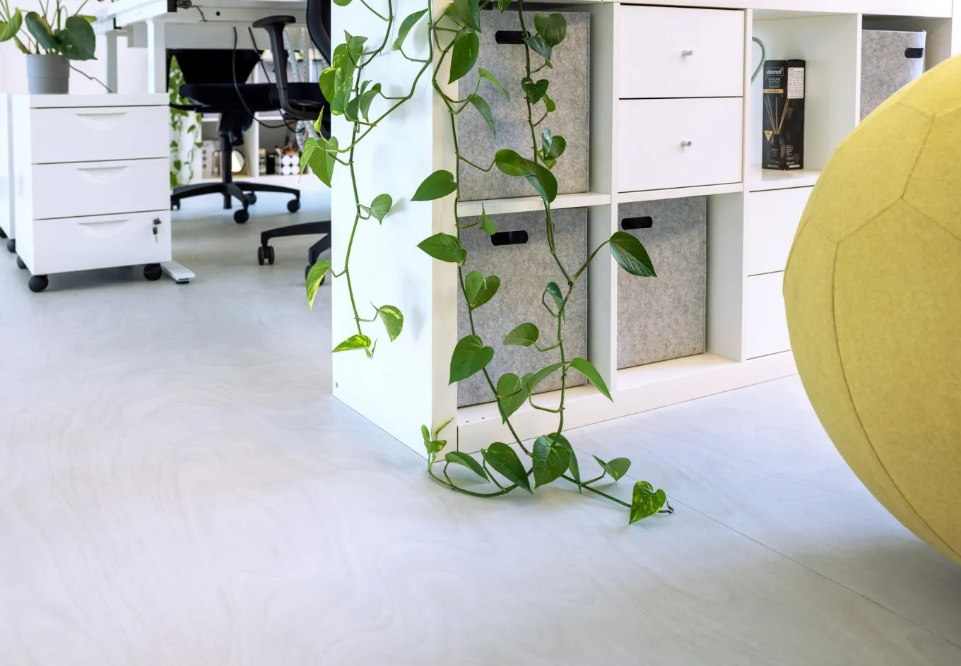 wineo PURLINE Bioboden in heller Holzoptik im modernen Büro mit Gymnastikball und höhenverstellbaren Schreibtischen