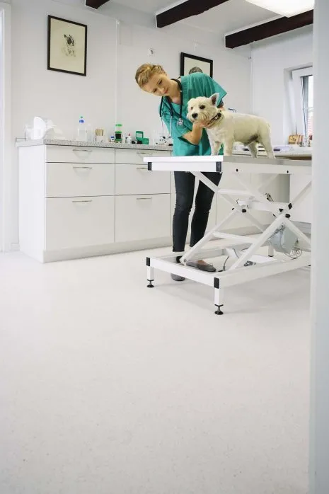 Heller Fußboden in einer Tierarztpraxis mit Behandlungstische, einem Hund und einer Tierärztin