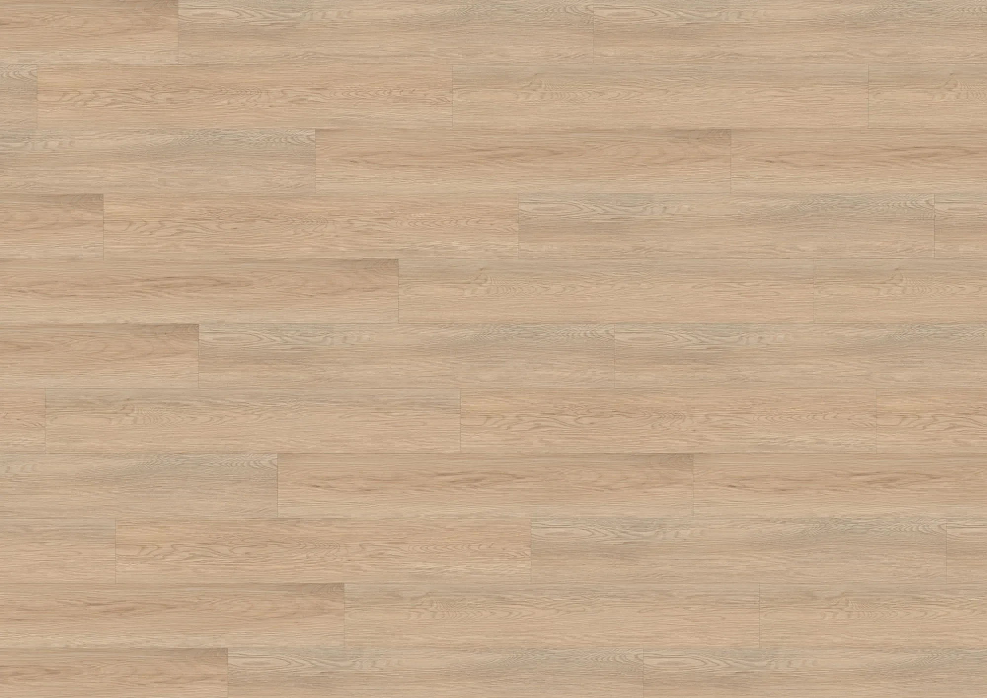 Moderner Vinylboden Calm Ash Beige RLC290WXL in Holzoptik und großem XL-Plankenformat