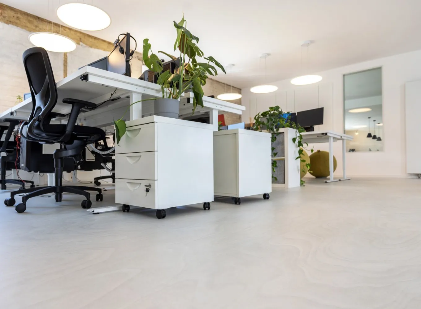 wineo PURLINE Bioboden in heller Holzoptik im modernen Büro mit höhenverstellbaren Schreibtisch