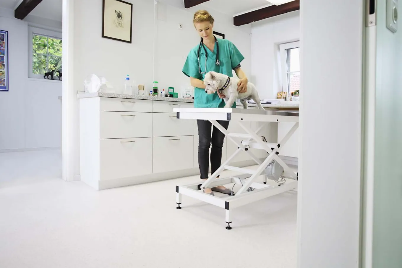 wineo PURLINE Bioboden in einer Tierklinik mit behandelnder Tierärztin von einem weißen Hund