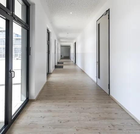 wineo PURLINE Bioboden Schule Flur hell Holzoptik